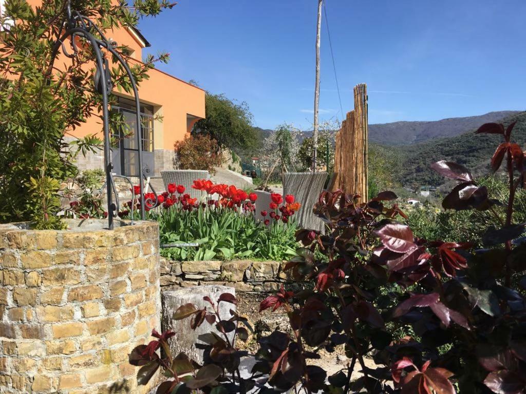 Olivo Al Mare - By Host4U Apartamento Dolcedo Exterior foto
